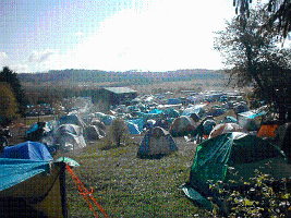 P5180033.jpg_640_480