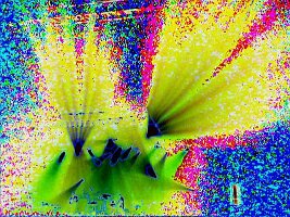 mtwt4c0074al0817dbys2