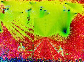 mtwt4c0104al2383dbys2